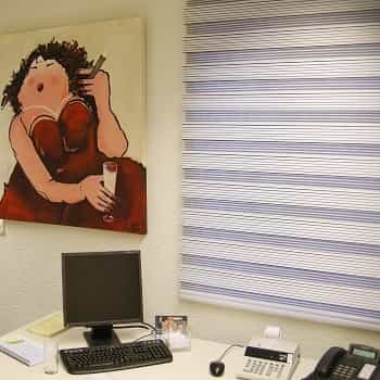 kantoor duorolgordijnen